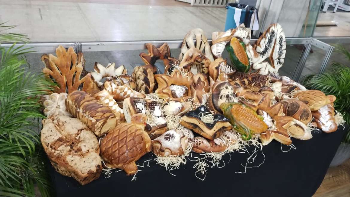 FIPA 2026 reúne negócios, inovação, capacitação e sabores da Amazônia em três dias de programação em Manaus