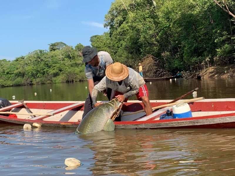 Sebrae realiza primeira Caravana da Pesca de Anamã com capacitação para 100 pescadores artesanais
