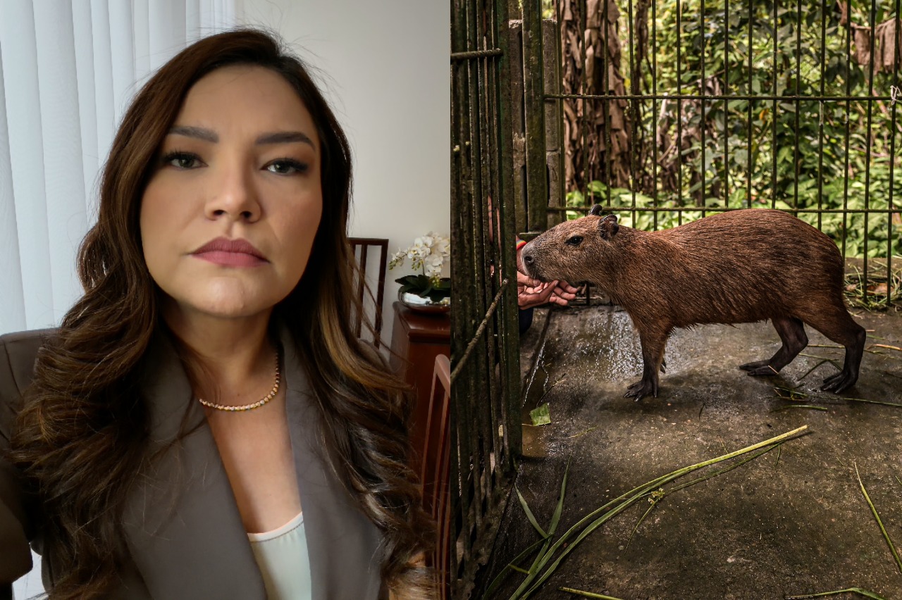 Deputada Joana Darc repudia decisão que determina retorno da capivara Filó ao Cetas do Ibama