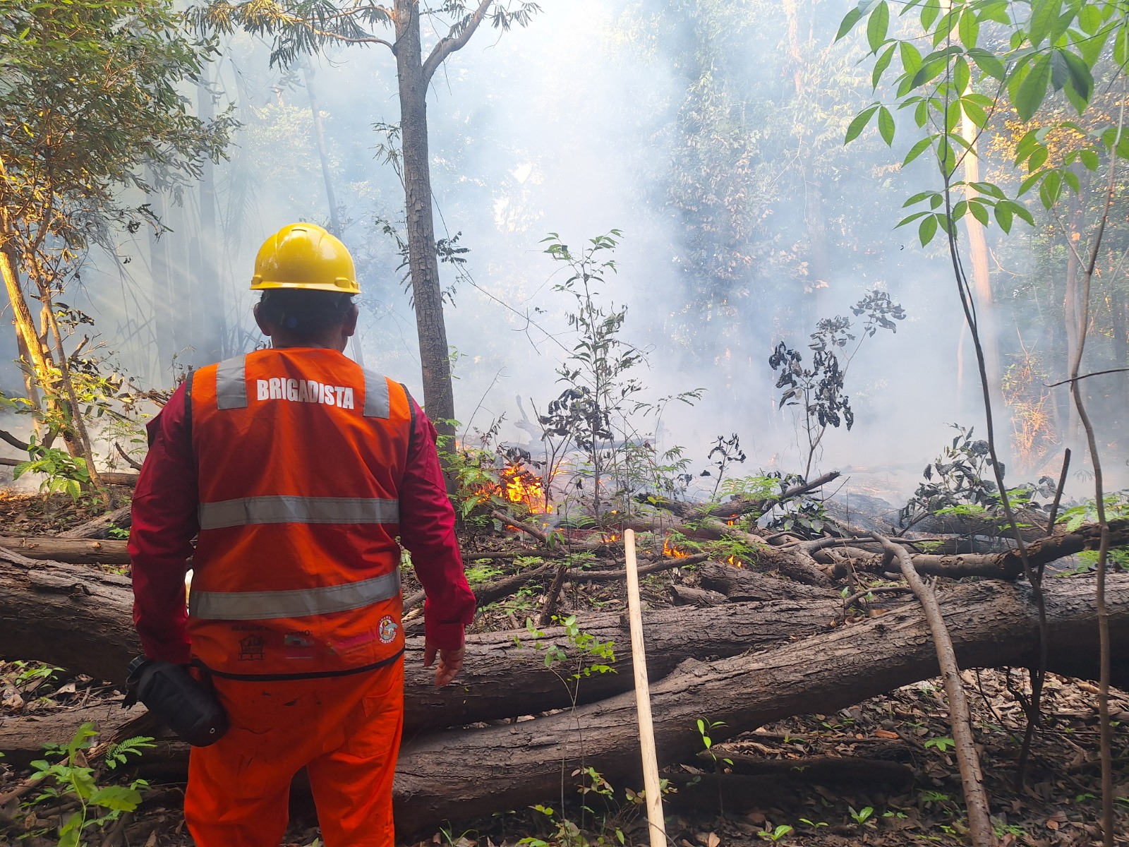 Brigadas de Apuí e Careiro Castanho recebem reforço para prevenção e combate a incêndios florestais
