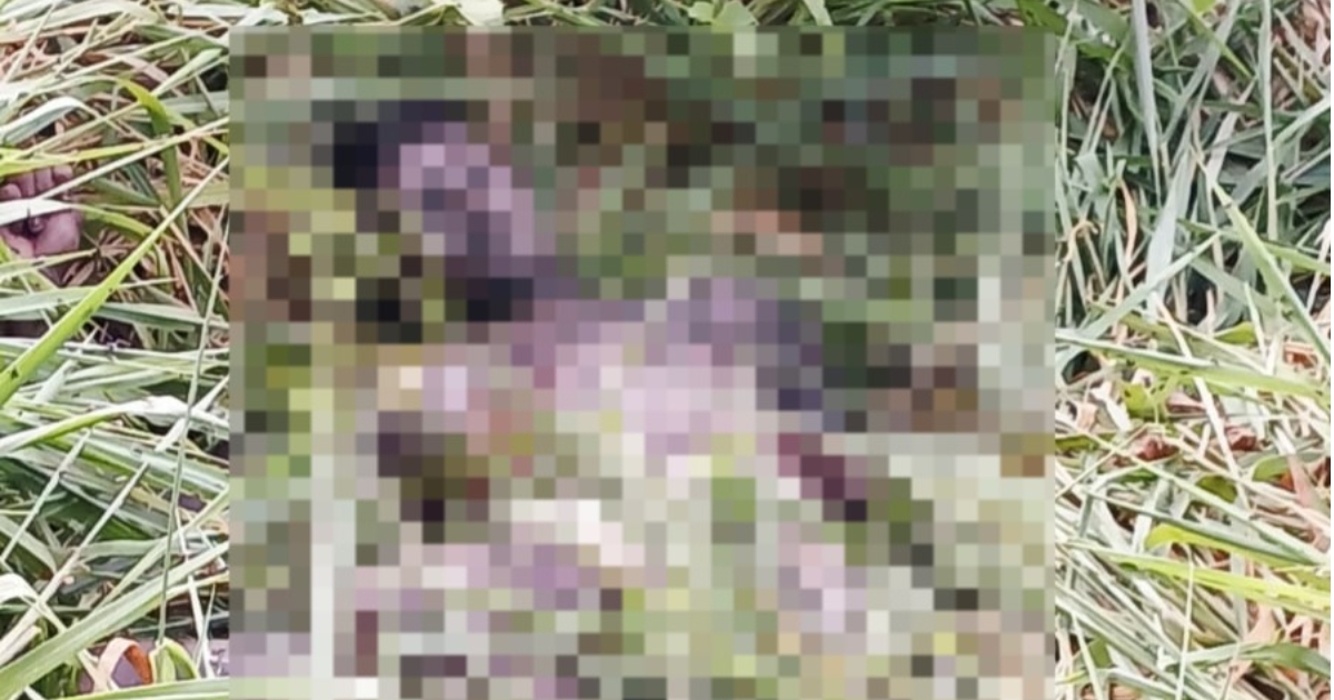 Corpo de adolescente é encontrado em área de mata às margens da AM-010